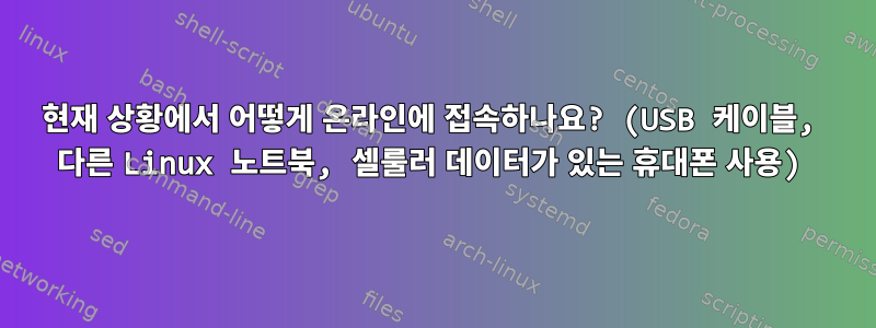 현재 상황에서 어떻게 온라인에 접속하나요? (USB 케이블, 다른 Linux 노트북, 셀룰러 데이터가 있는 휴대폰 사용)