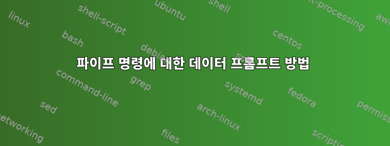 파이프 명령에 대한 데이터 프롬프트 방법