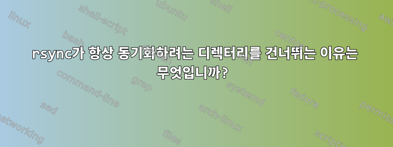 rsync가 항상 동기화하려는 디렉터리를 건너뛰는 이유는 무엇입니까?