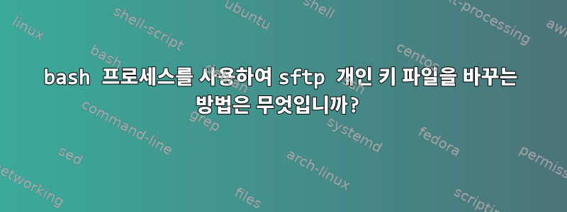 bash 프로세스를 사용하여 sftp 개인 키 파일을 바꾸는 방법은 무엇입니까?