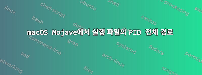 macOS Mojave에서 실행 파일의 PID 전체 경로