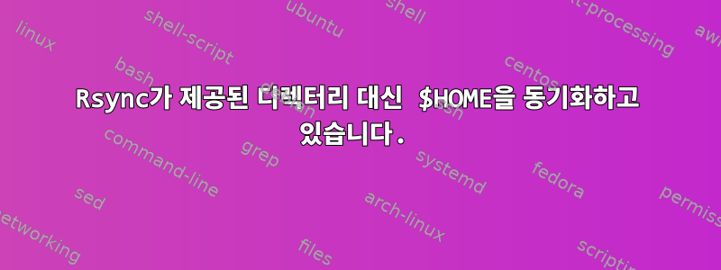 Rsync가 제공된 디렉터리 대신 $HOME을 동기화하고 있습니다.