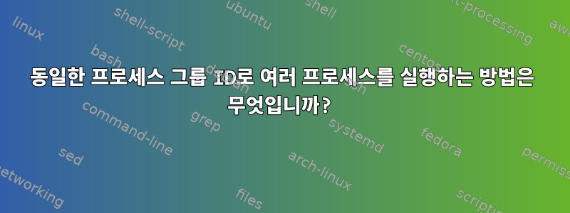 동일한 프로세스 그룹 ID로 여러 프로세스를 실행하는 방법은 무엇입니까?