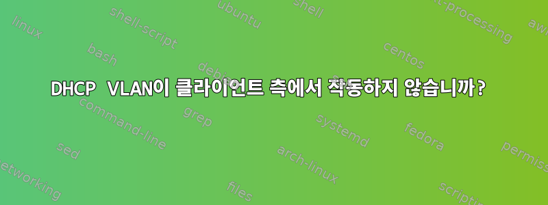 DHCP VLAN이 클라이언트 측에서 작동하지 않습니까?