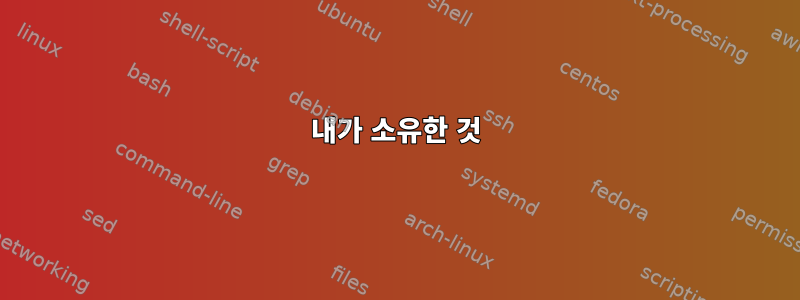 내가 소유한 것