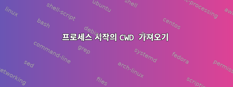 프로세스 시작의 CWD 가져오기