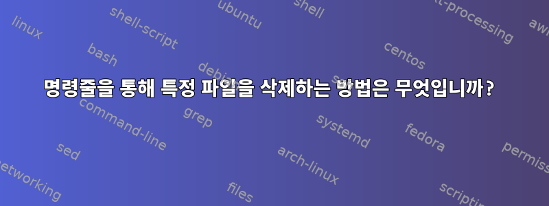 명령줄을 통해 특정 파일을 삭제하는 방법은 무엇입니까?