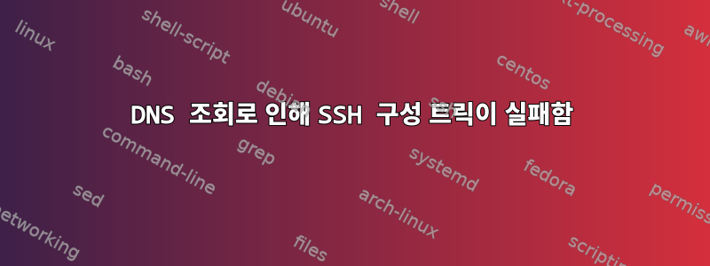 DNS 조회로 인해 SSH 구성 트릭이 실패함