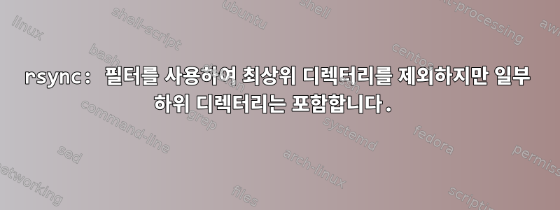 rsync: 필터를 사용하여 최상위 디렉터리를 제외하지만 일부 하위 디렉터리는 포함합니다.