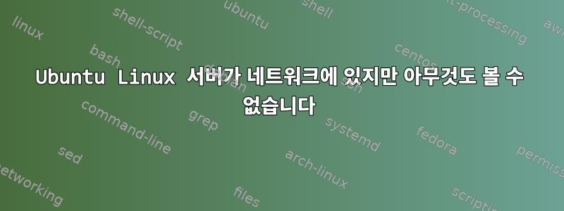 Ubuntu Linux 서버가 네트워크에 있지만 아무것도 볼 수 없습니다