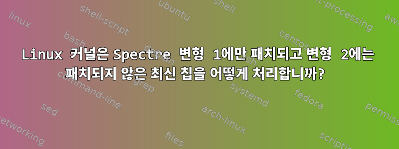 Linux 커널은 Spectre 변형 1에만 패치되고 변형 2에는 패치되지 않은 최신 칩을 어떻게 처리합니까?