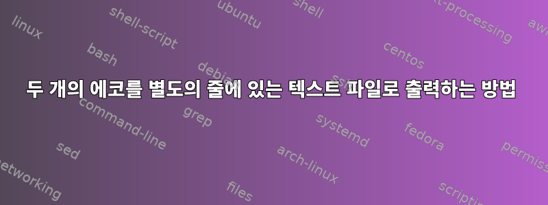 두 개의 에코를 별도의 줄에 있는 텍스트 파일로 출력하는 방법