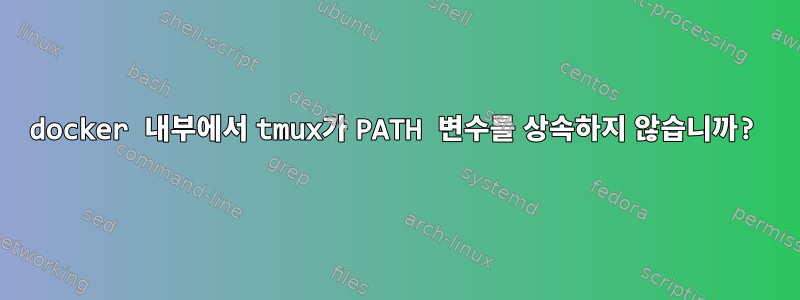 docker 내부에서 tmux가 PATH 변수를 상속하지 않습니까?