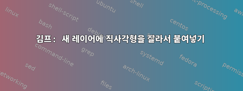 김프: 새 레이어에 직사각형을 잘라서 붙여넣기