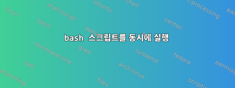 bash 스크립트를 동시에 실행