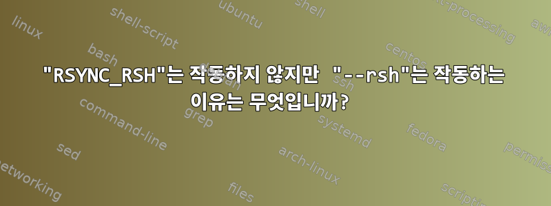 "RSYNC_RSH"는 작동하지 않지만 "--rsh"는 작동하는 이유는 무엇입니까?