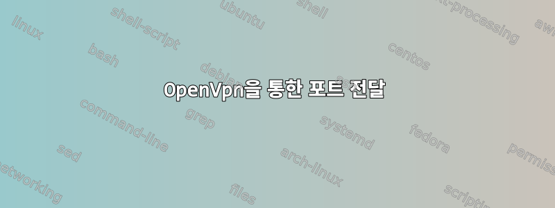 OpenVpn을 통한 포트 전달