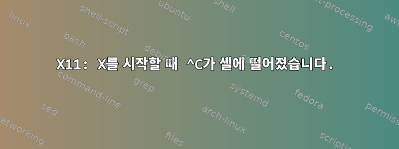 X11: X를 시작할 때 ^C가 셸에 떨어졌습니다.