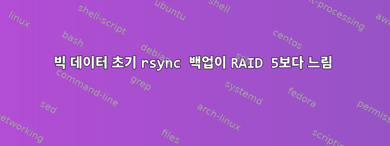 빅 데이터 초기 rsync 백업이 RAID 5보다 느림