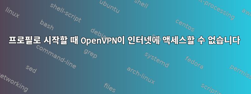 프로필로 시작할 때 OpenVPN이 인터넷에 액세스할 수 없습니다