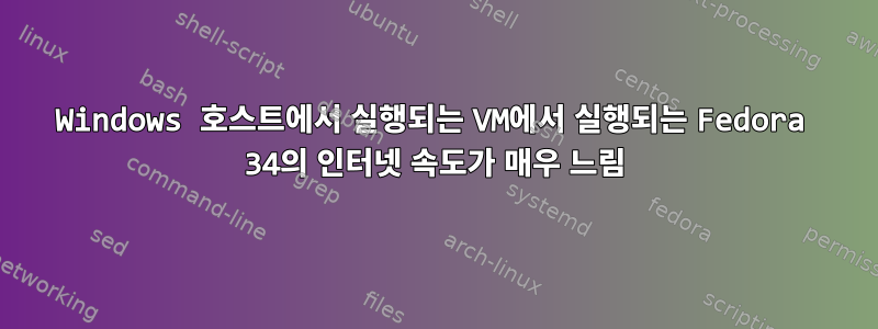 Windows 호스트에서 실행되는 VM에서 실행되는 Fedora 34의 인터넷 속도가 매우 느림