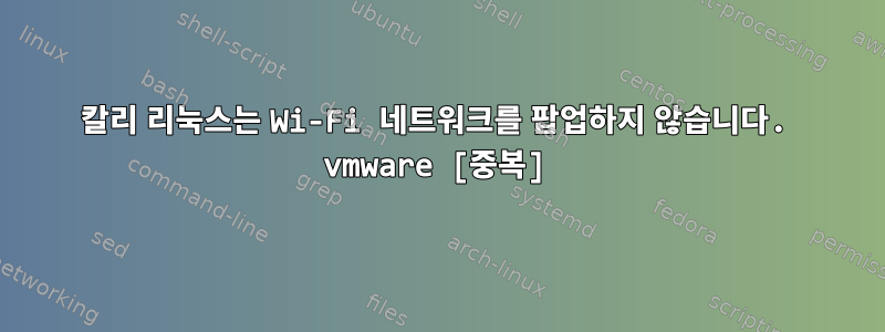 칼리 리눅스는 Wi-Fi 네트워크를 팝업하지 않습니다. vmware [중복]