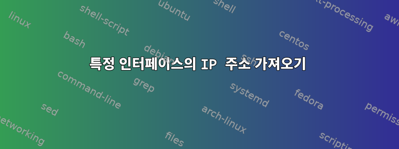 특정 인터페이스의 IP 주소 가져오기