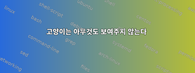 고양이는 아무것도 보여주지 않는다