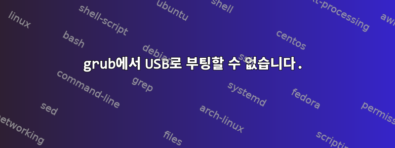 grub에서 USB로 부팅할 수 없습니다.