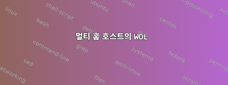 멀티 홈 호스트의 WOL