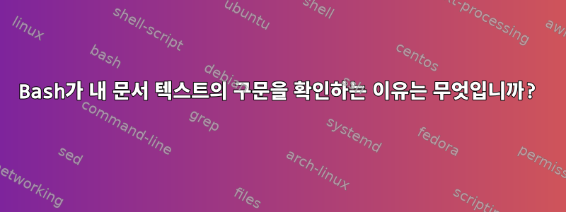 Bash가 내 문서 텍스트의 구문을 확인하는 이유는 무엇입니까?