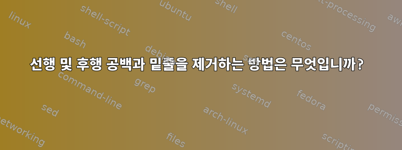 선행 및 후행 공백과 밑줄을 제거하는 방법은 무엇입니까?