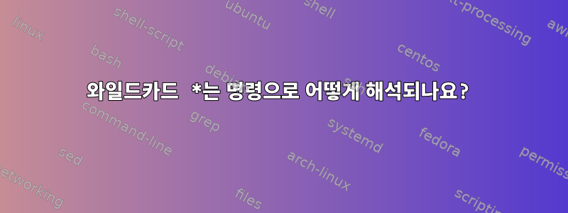 와일드카드 *는 명령으로 어떻게 해석되나요?