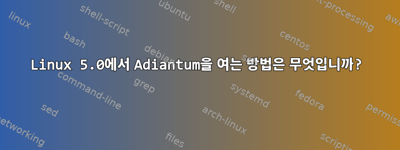 Linux 5.0에서 Adiantum을 여는 방법은 무엇입니까?