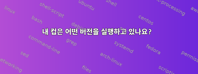 내 컵은 어떤 버전을 실행하고 있나요?