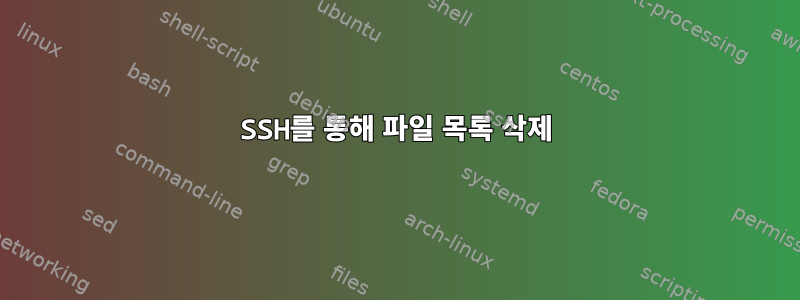 SSH를 통해 파일 목록 삭제