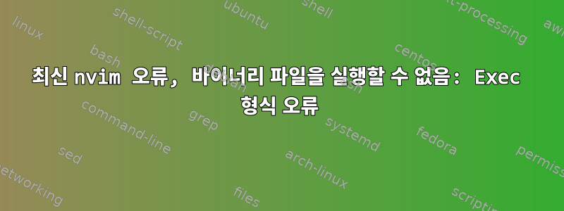 최신 nvim 오류, 바이너리 파일을 실행할 수 없음: Exec 형식 오류