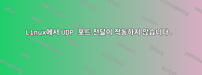 Linux에서 UDP 포트 전달이 작동하지 않습니다.