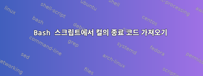 Bash 스크립트에서 컬의 종료 코드 가져오기