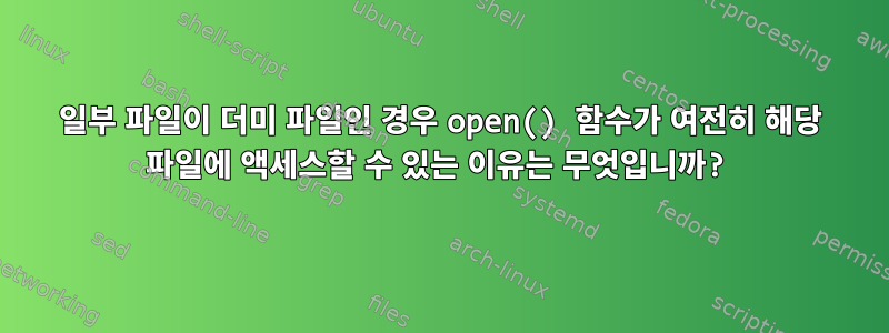 일부 파일이 더미 파일인 경우 open() 함수가 여전히 해당 파일에 액세스할 수 있는 이유는 무엇입니까?