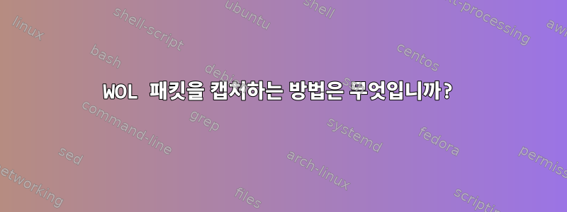 WOL 패킷을 캡처하는 방법은 무엇입니까?