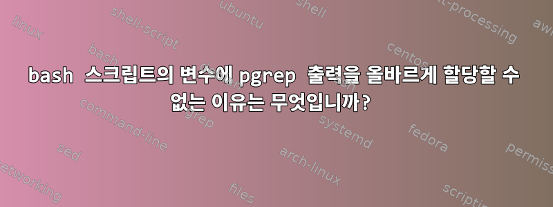 bash 스크립트의 변수에 pgrep 출력을 올바르게 할당할 수 없는 이유는 무엇입니까?