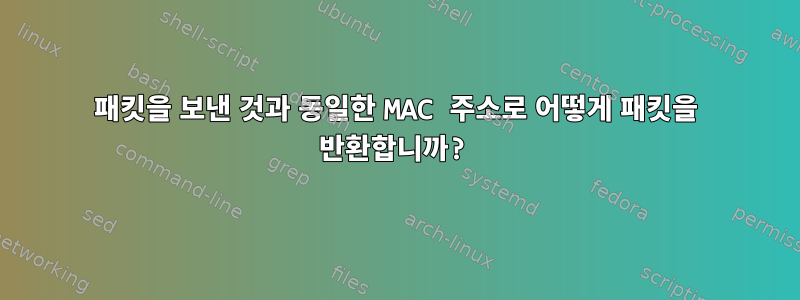 패킷을 보낸 것과 동일한 MAC 주소로 어떻게 패킷을 반환합니까?