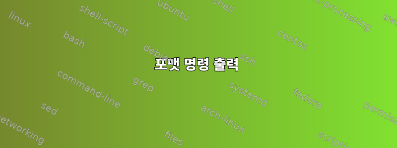 포맷 명령 출력