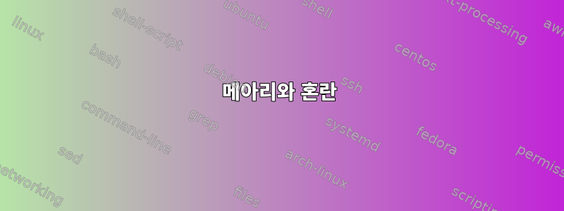 메아리와 혼란