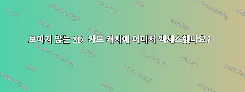 보이지 않는 SD 카드 캐시에 어디서 액세스했나요?