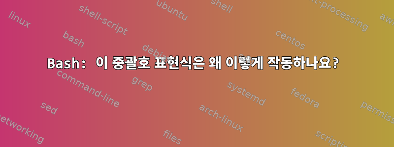 Bash: 이 중괄호 표현식은 왜 이렇게 작동하나요?