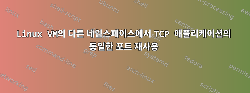 Linux VM의 다른 네임스페이스에서 TCP 애플리케이션의 동일한 포트 재사용