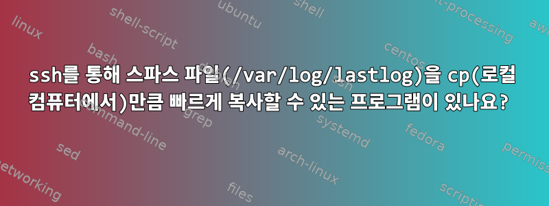 ssh를 통해 스파스 파일(/var/log/lastlog)을 cp(로컬 컴퓨터에서)만큼 빠르게 복사할 수 있는 프로그램이 있나요?