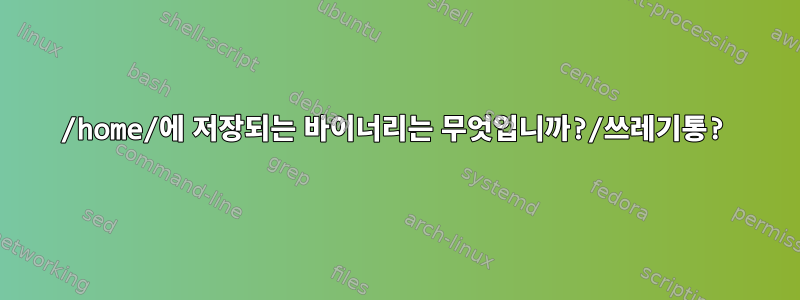 /home/에 저장되는 바이너리는 무엇입니까?/쓰레기통?